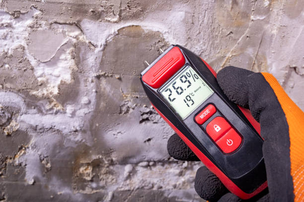 Best Residential Mold Removal  in South Berwick, ME