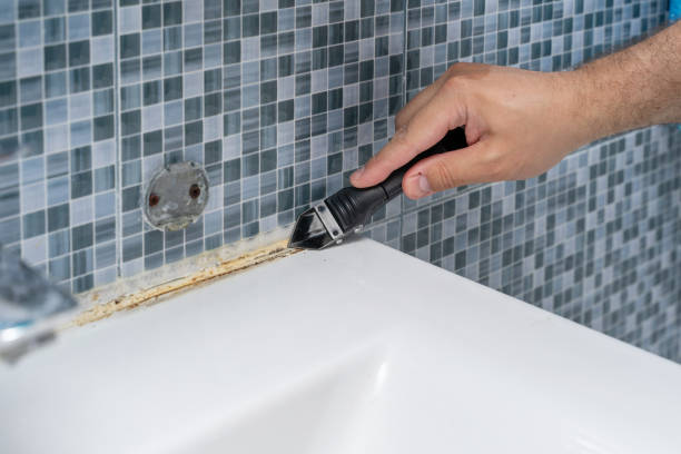 Best Affordable Mold Removal  in South Berwick, ME